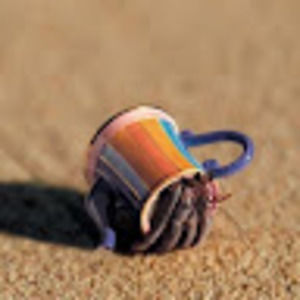 Meet your Posher, Annabelle